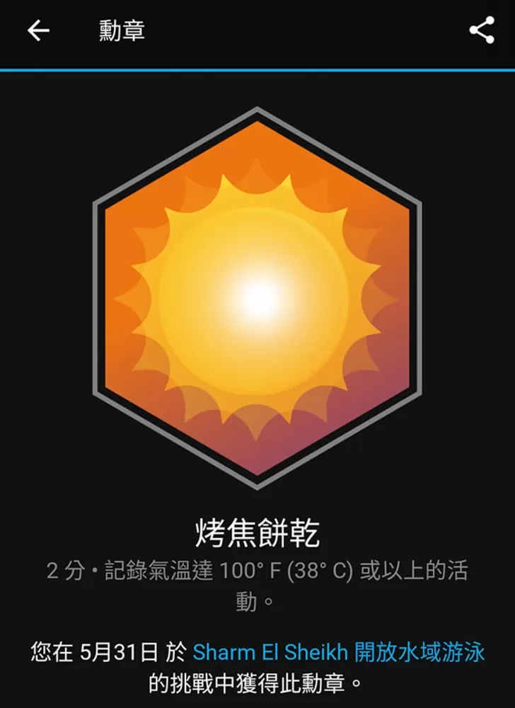 烤焦餅乾勳章。