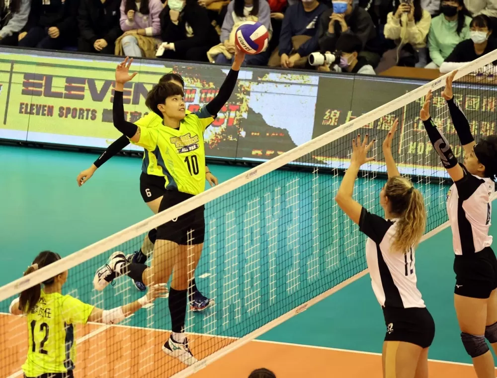 企排17年月星賽登場。排球協會提供。下同。