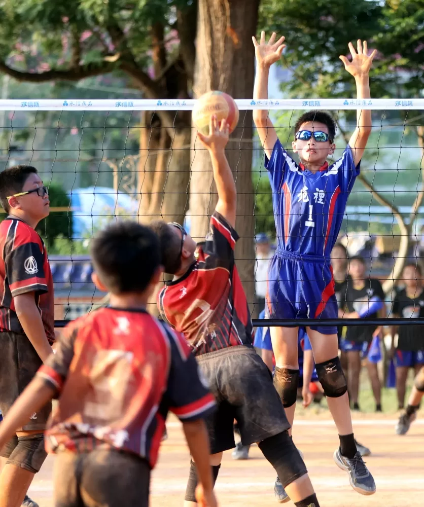 林嘉欣／攝影。