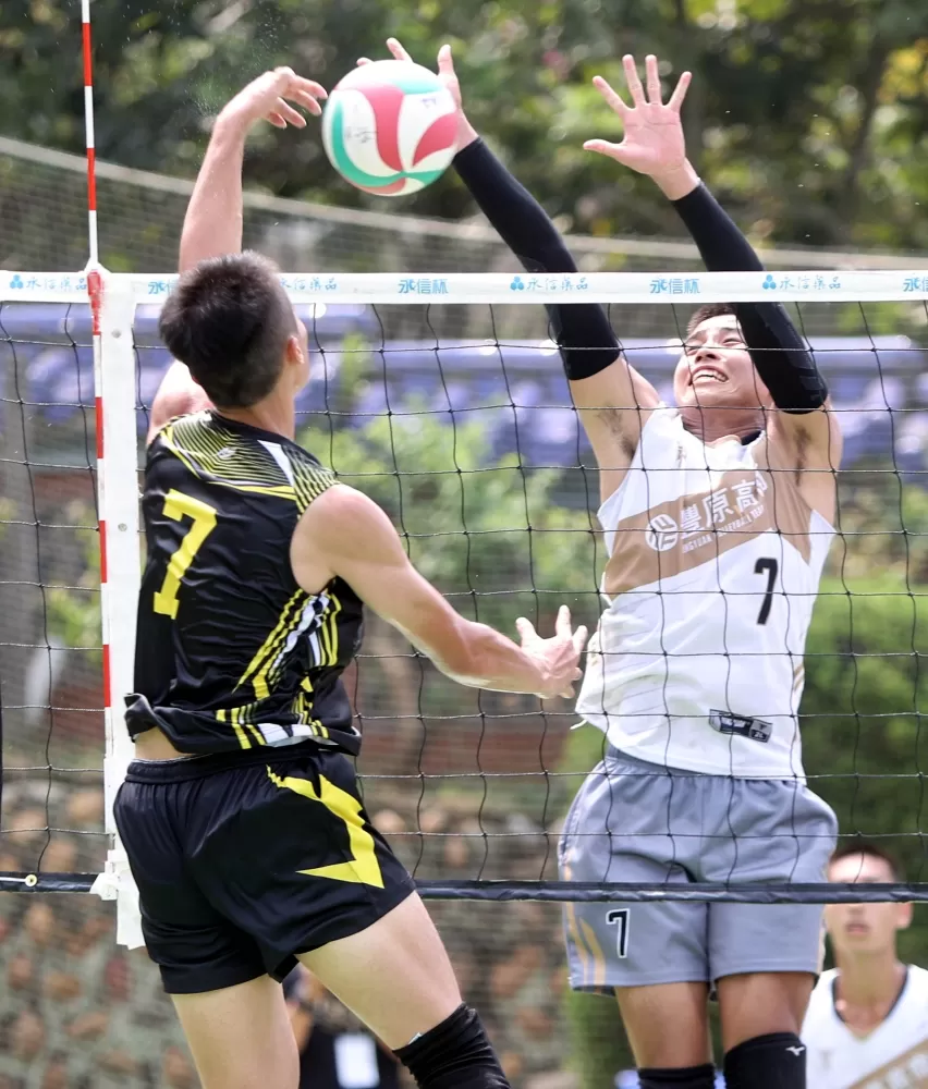 林嘉欣／攝影。