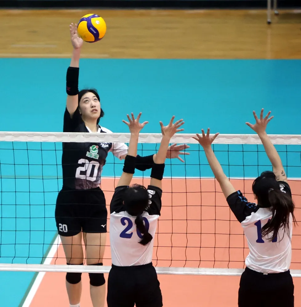 林嘉欣／攝影。