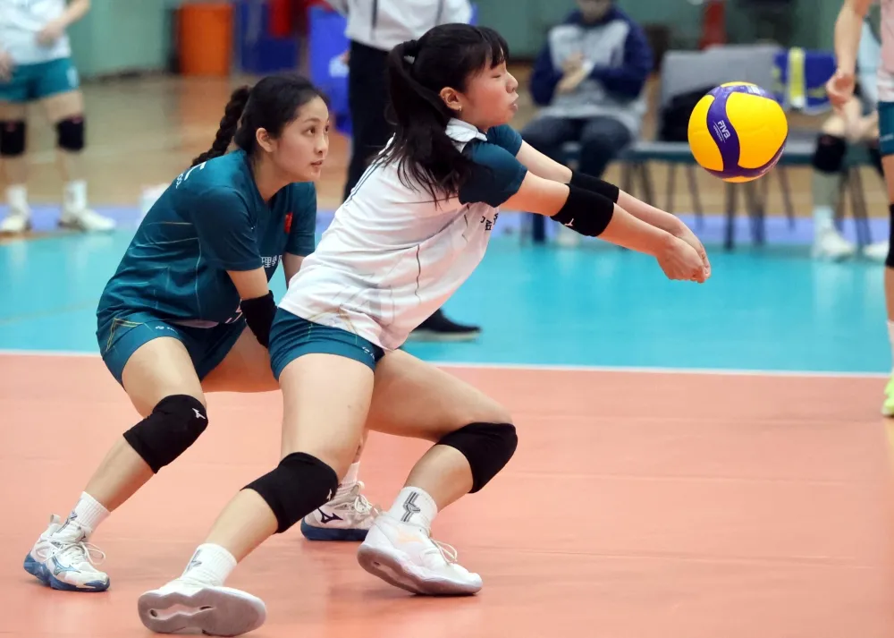 林嘉欣／攝影。