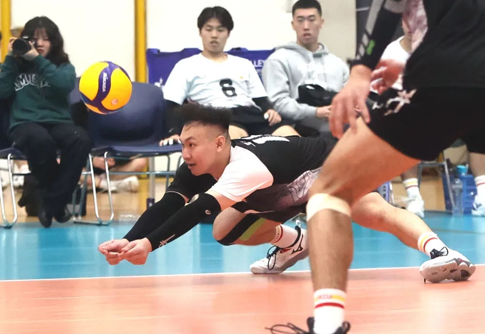 林嘉欣／攝影。