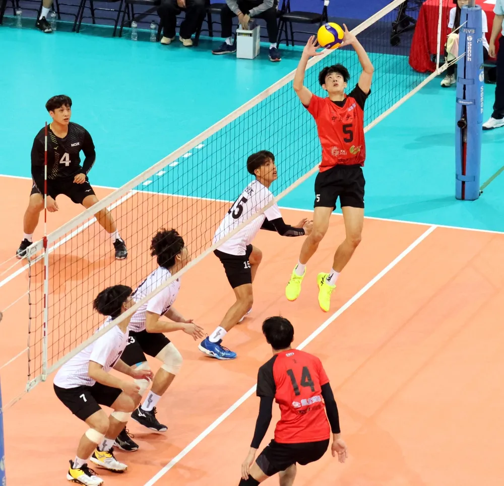 林嘉欣／攝影。